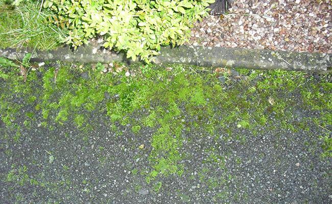 How to kill moss on tarmac